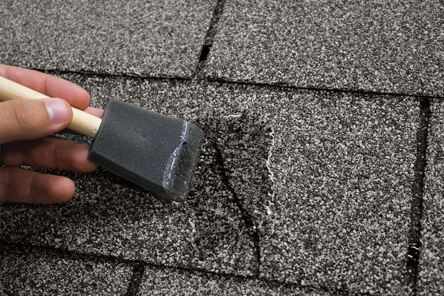What Is the Purpose of Roof Treatment?